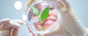 Forte Pharma Produkter